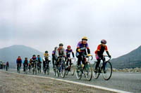 Click here -> 338x490 pix.