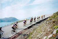 Click here -> 380x594 pix.