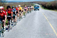 Click here -> 384x586 pix.