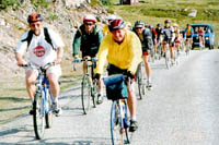 Click here -> 381x591 pix.