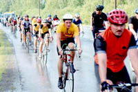 Click here -> 394x588 pix.