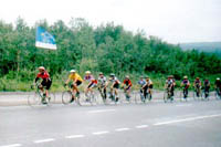 Click here -> 392x591 pix.