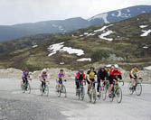 Click here -> 400x501 pix.